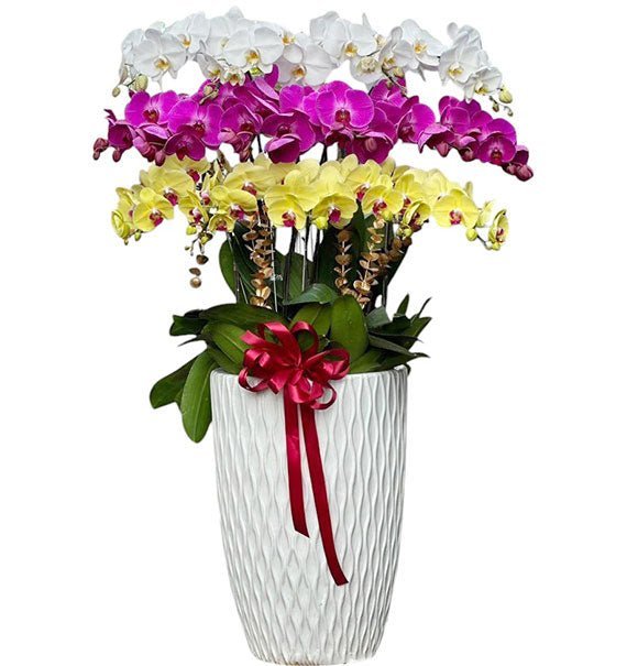 18 Điều Như Ý