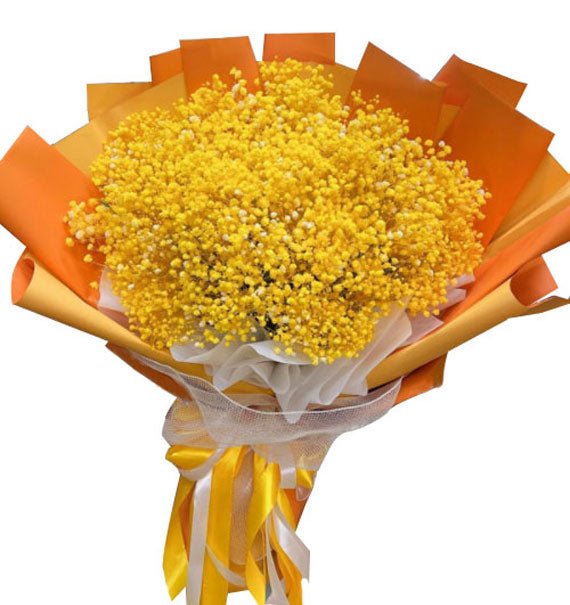 Ánh Vàng Mỏng