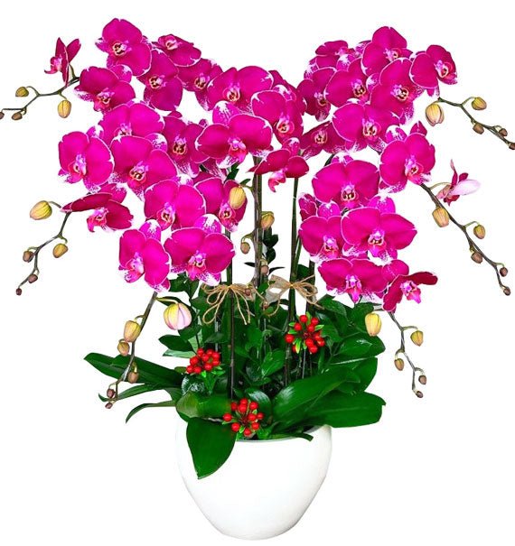 Bảy Điều Ngọt Ngào