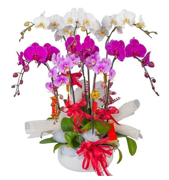 Beauty In Bloom