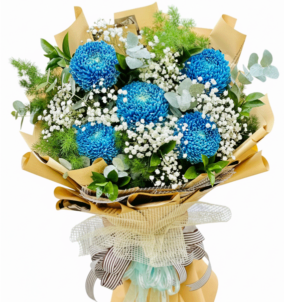 Biển Sớm Dịu Êm