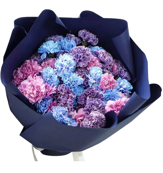 Blooming Colors