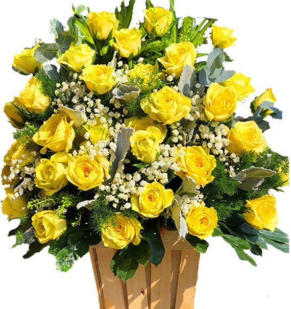 Cánh Cửa Hy Vọng
