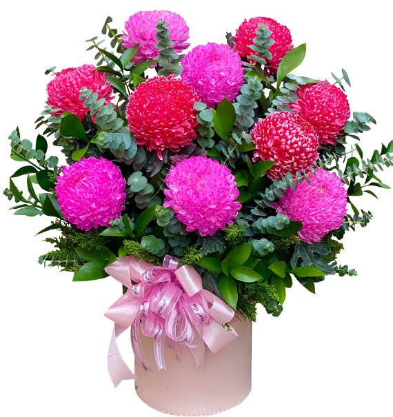 Cúc Mẫu Đơn Tặng Sinh Nhật