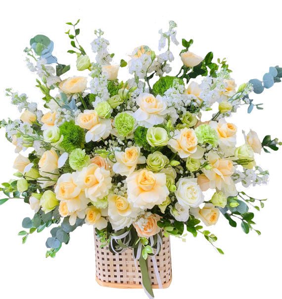 Đẳng Cấp Lên Ngôi
