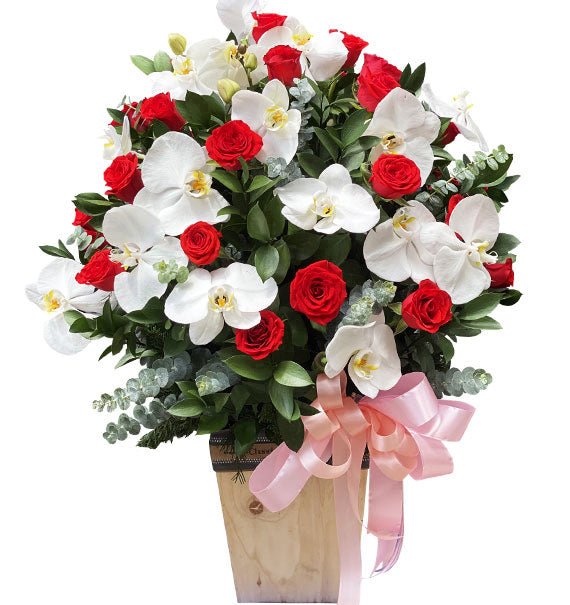 Đỉnh Của Đỉnh