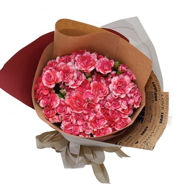 Dịu Dàng Cẩm Chướng