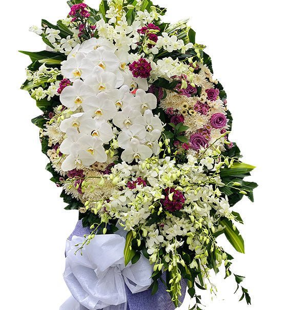 Đưa Tiễn