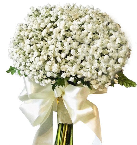Đường Cong Của Yêu Thương