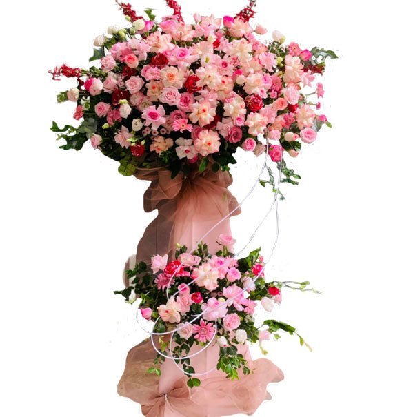 Đường Đến Đỉnh Vinh Quang