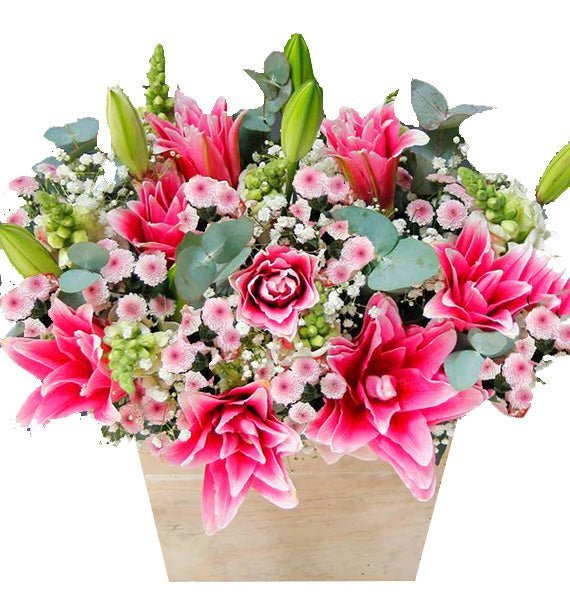 Duyên Thầm Gửi Em