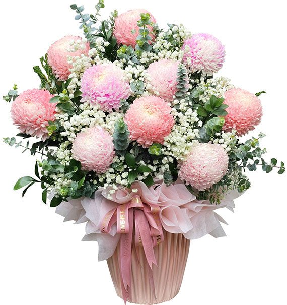 Giỏ Cúc Mẫu Đơn Hồng Pastel
