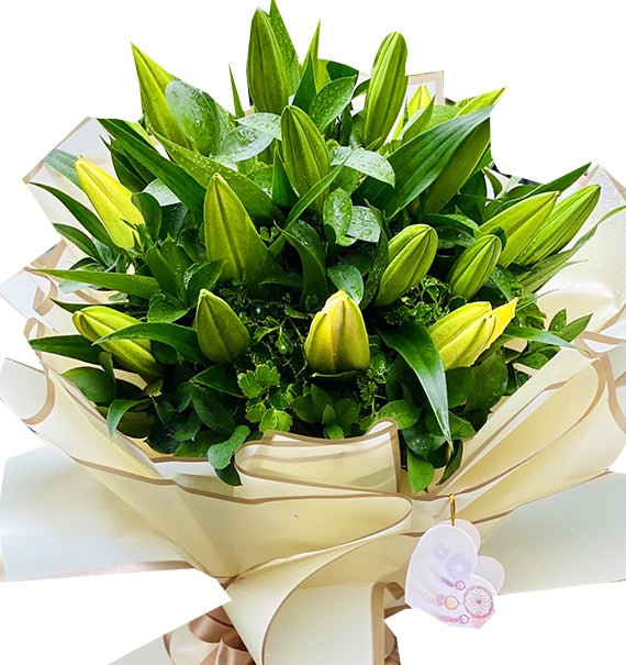 Golden Grace Lily