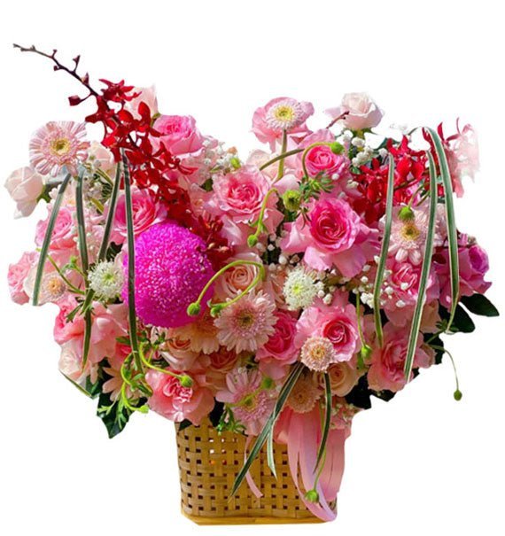 Hạnh Phúc Tràn Đầy