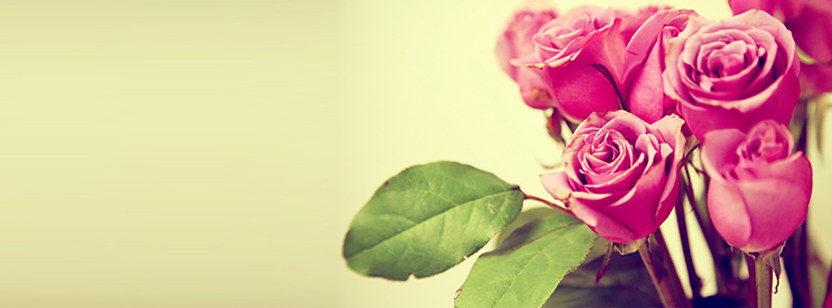 Hoa
Valentine
cho nửa kia
