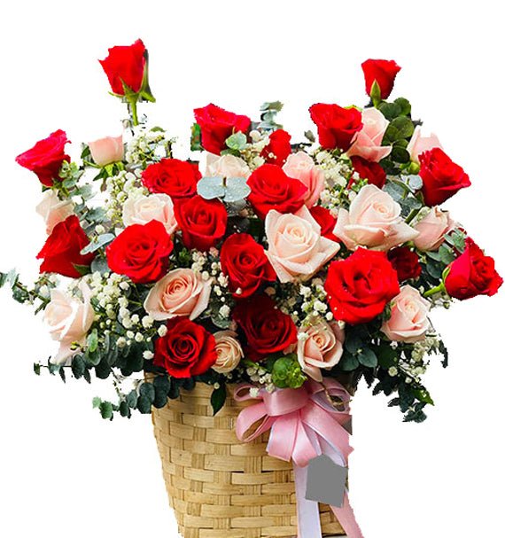 Hoa Chúc Mừng Giá Rẻ