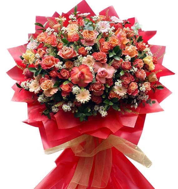 Hoa Hồng Cam Đồng Tiền