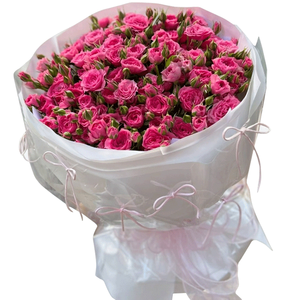 Hôm Nay Và Mãi Về Sau