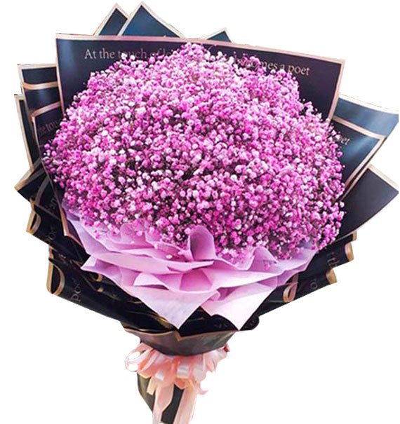 Hồng Mây Sương