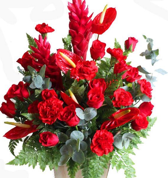 Hộp Hoa Hồng Đỏ & Cẩm Chướng Đỏ
