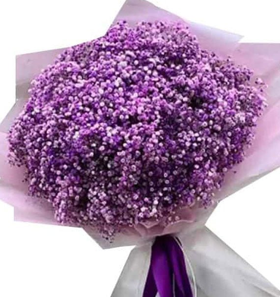 Hương Tím Nhỏ