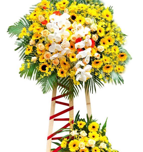 Kệ Gỗ Đồng Tiền & Hồ Điệp