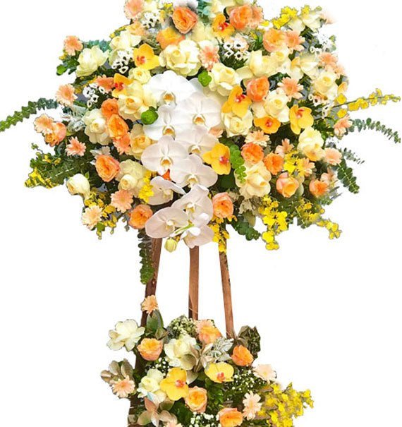Kệ Gỗ Hồng Vàng & Hồ Điệp