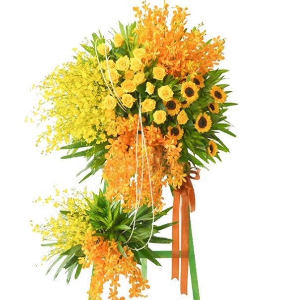 Kệ Hoa Lan Khai Trương