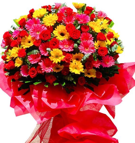Kệ Hồng Đỏ & Đồng Tiền