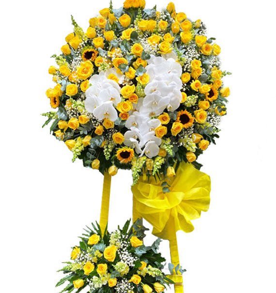 Kệ Hồng Vàng & Hồ Điệp