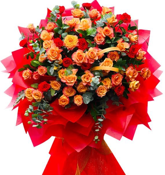 Khởi Đầu Bền Vững