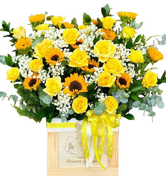 Khởi Đầu Thuận Lợi