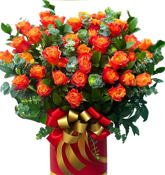 Khởi Đầu Tươi Mới