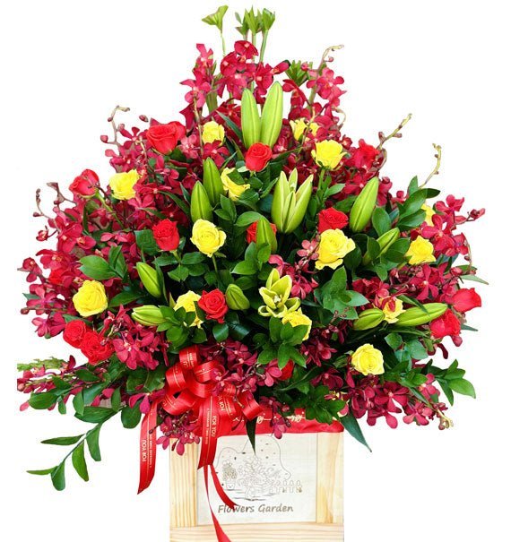 Lẵng Hoa Lan Đỏ Chúc Mừng