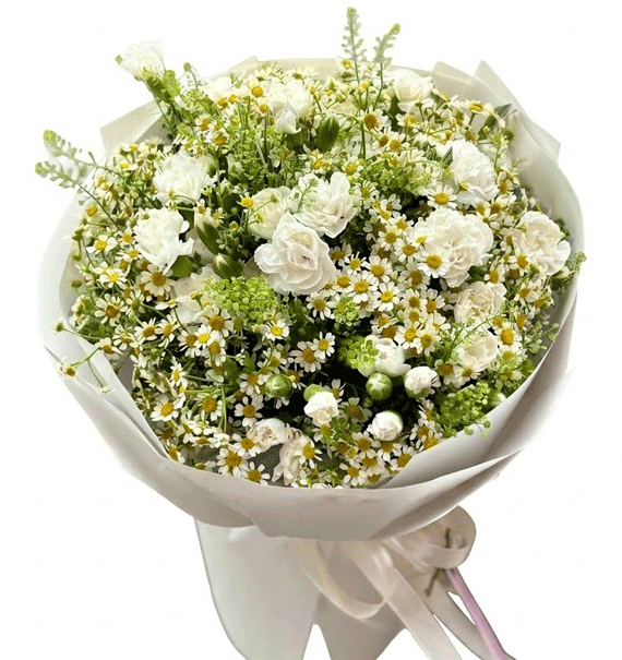 Lặng Yên Trắng