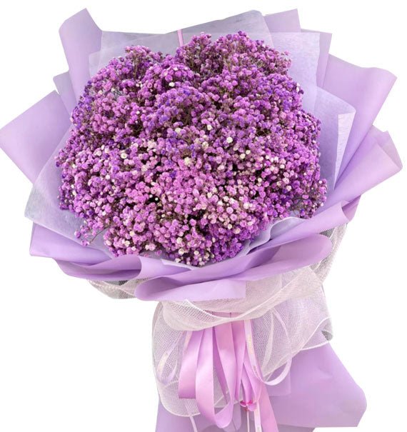 Lavender Dreams