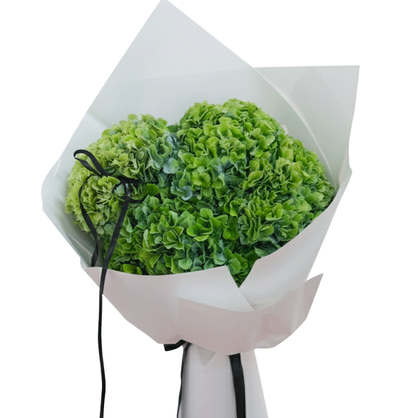 Lộc Xanh Dịu Dàng