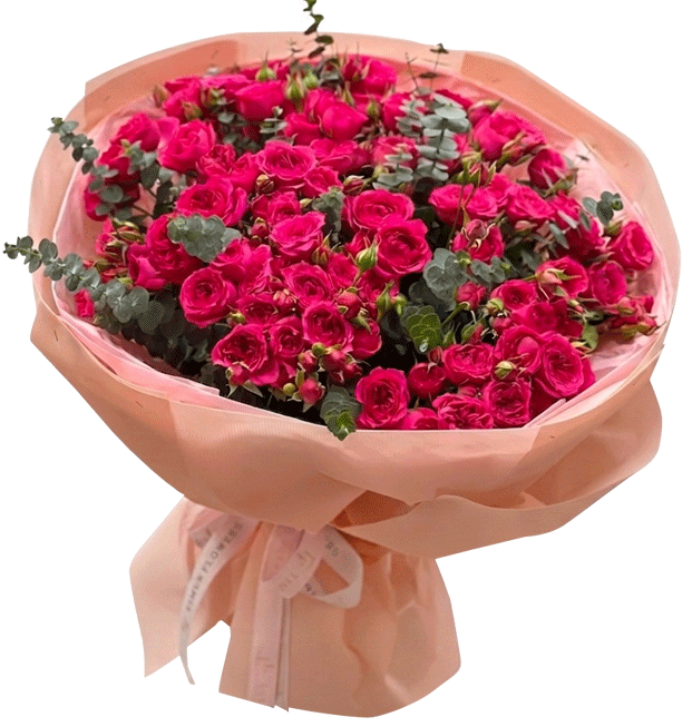 Màu Hồng Của Hạnh Phúc