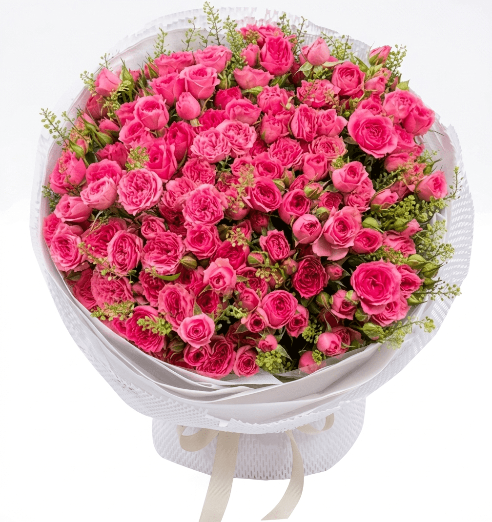 Mây Hồng Bất Tận