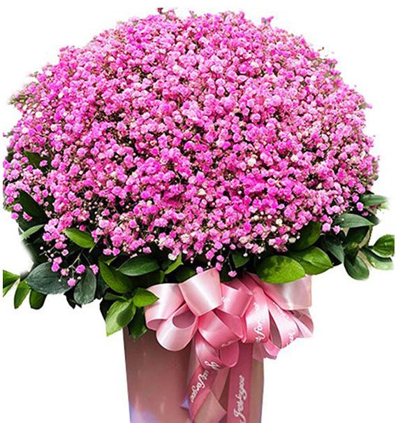 Mây Hồng Nhẹ