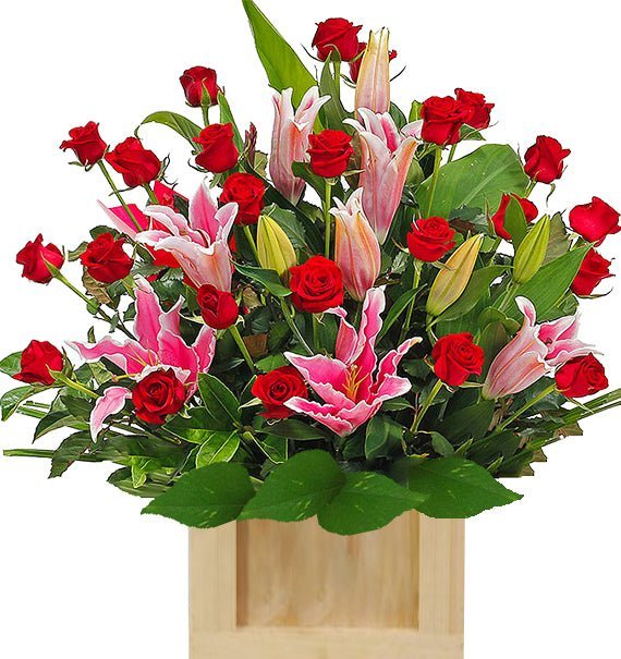 May Mắn Thịnh Vượng
