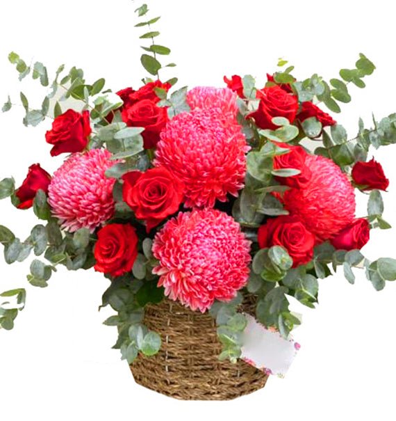 Mối Tình Đầu