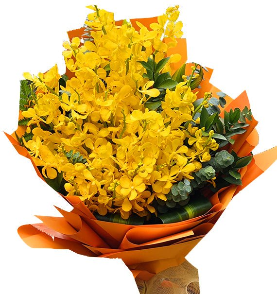 Moka Dịu Dàng