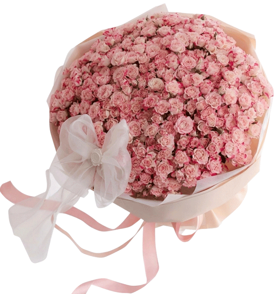Một Thoáng Bình Yên
