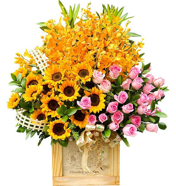 Nắng Vàng Rực Rỡ
