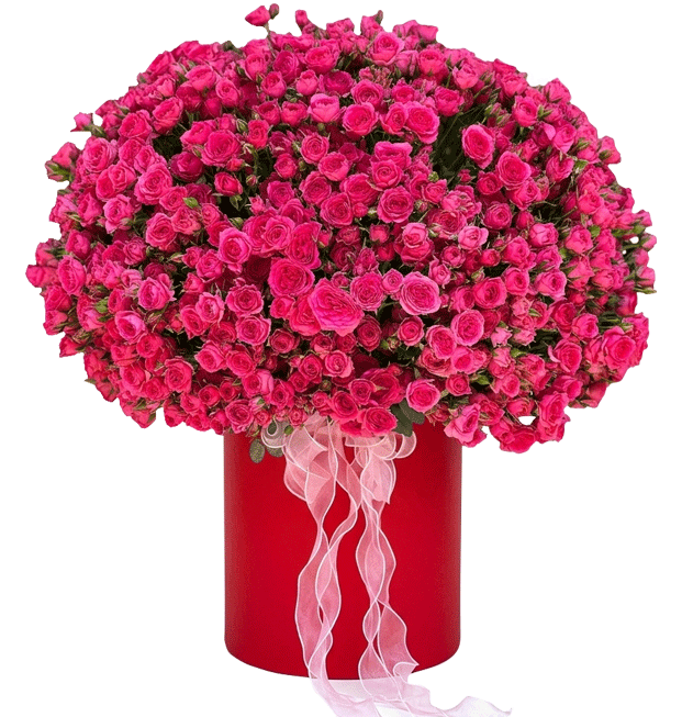 Ngày Đặc Biệt