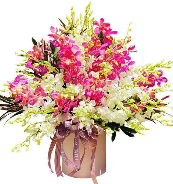 Nhớ Mãi Nụ Cười Thân Thương