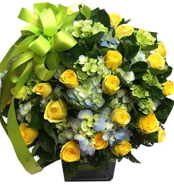 Nỗ Lực Tiến Bước