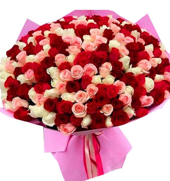 Nồng Say