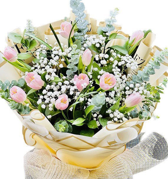 Nụ Hoa Xin Lỗi